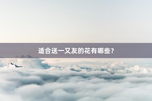 适合送一又友的花有哪些？