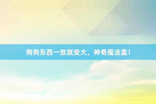 狗狗东西一放就变大，神奇魔法盒！